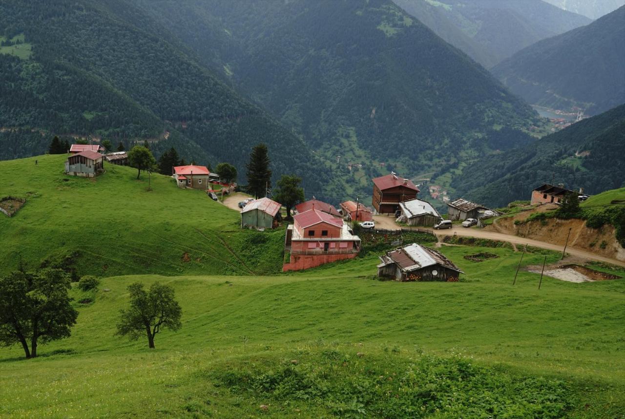 Gumul Pansiyon Uzungöl Extérieur photo