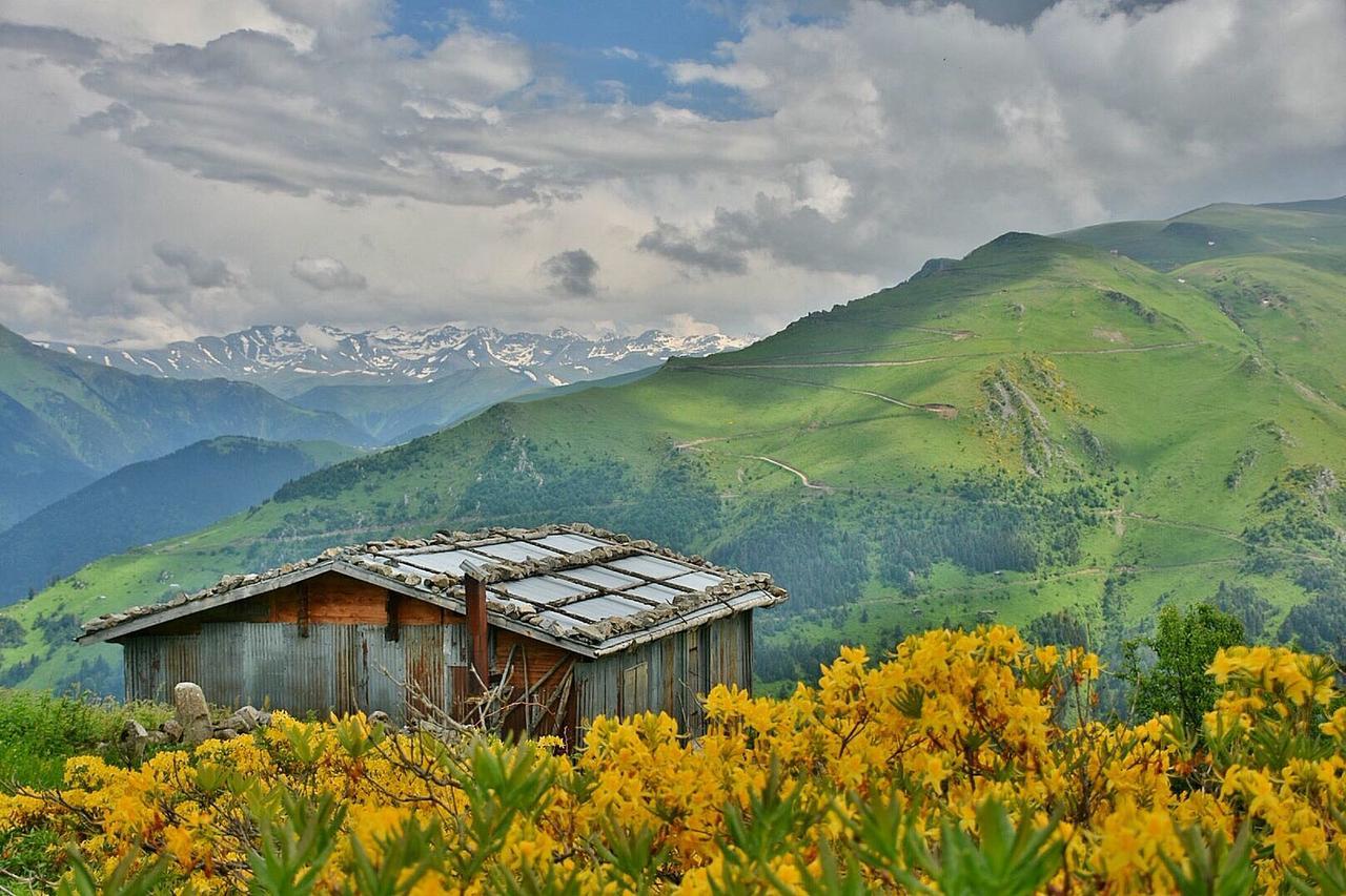 Gumul Pansiyon Uzungöl Extérieur photo