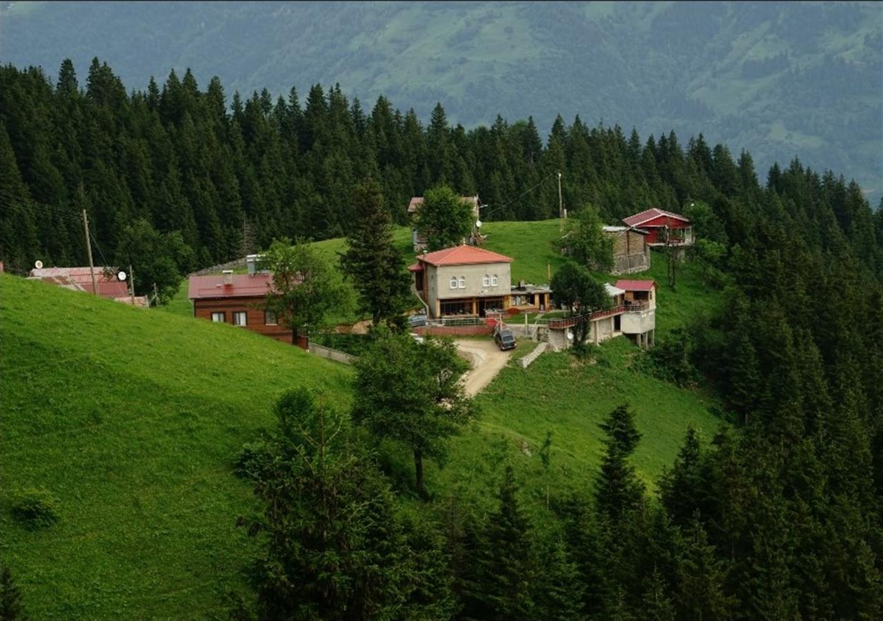 Gumul Pansiyon Uzungöl Extérieur photo