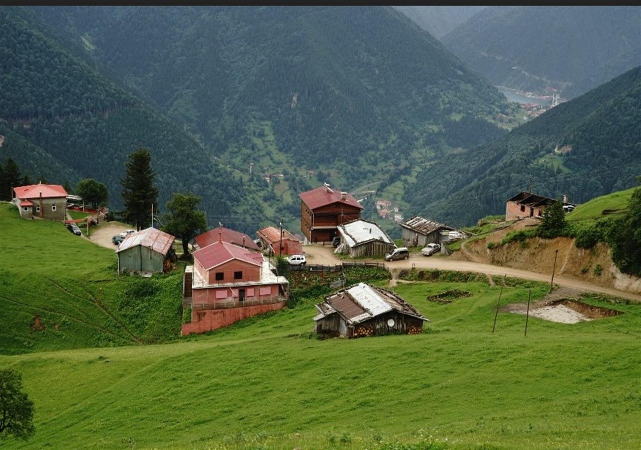 Gumul Pansiyon Uzungöl Extérieur photo