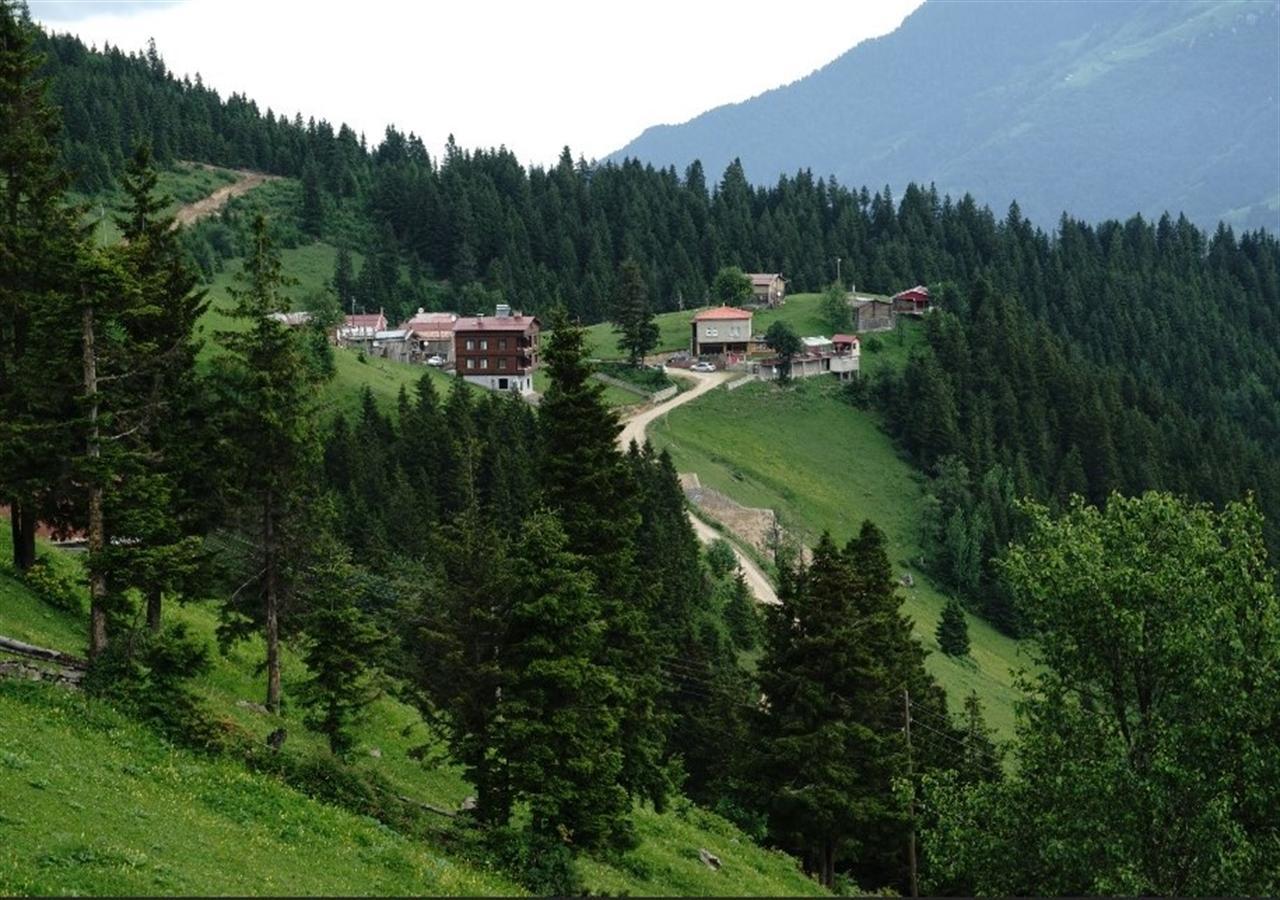 Gumul Pansiyon Uzungöl Extérieur photo